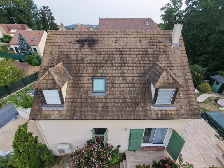 Toiture en tuiles couverte de mousses avant nettoyage vapeur